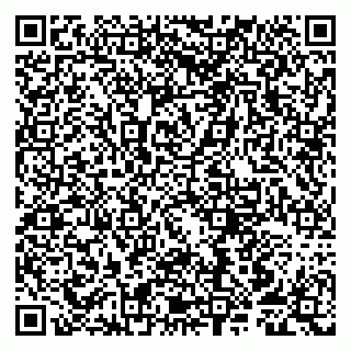 vCard 79807250729