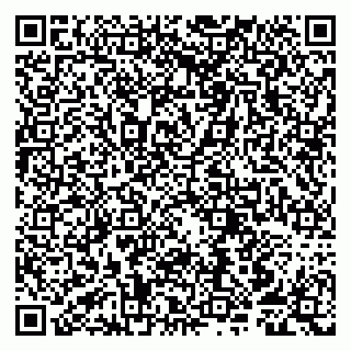 vCard 79807250831
