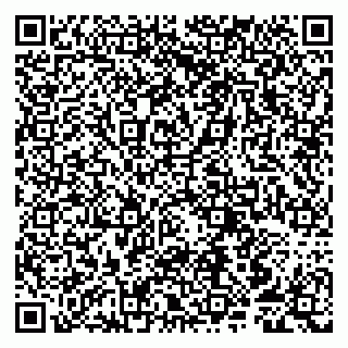vCard 79807250838