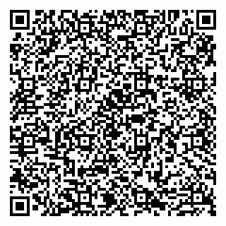 vCard 79807250874