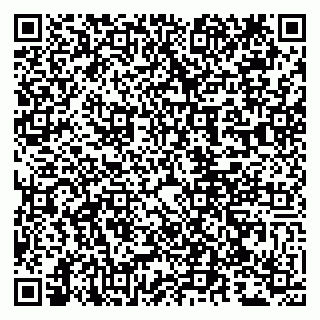 vCard 79807250903