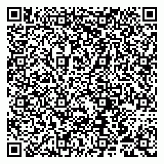 vCard 79807250917