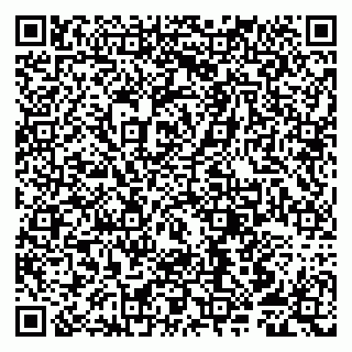 vCard 79807250929