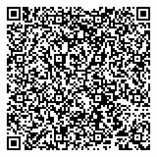 vCard 79807250935