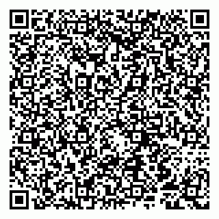 vCard 79807251017