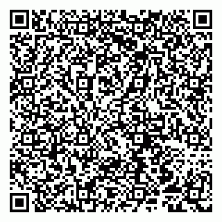 vCard 79807251029