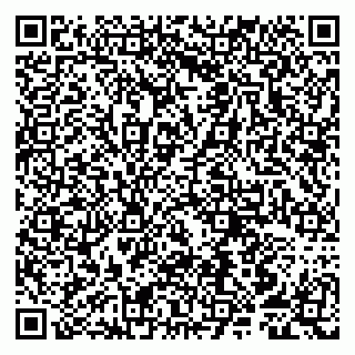 vCard 79807251033
