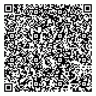 vCard 79807251038