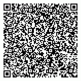 vCard 79807251074