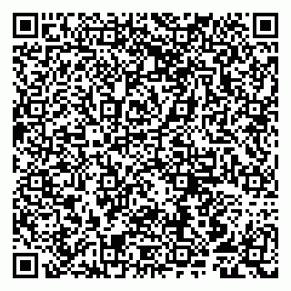 vCard 79807251235