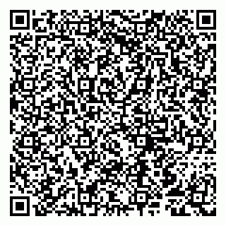 vCard 79807251296