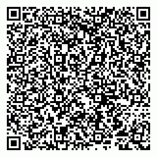vCard 79807251297