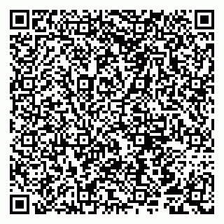 vCard 79807251303