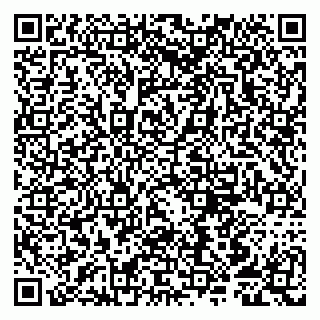 vCard 79807251313