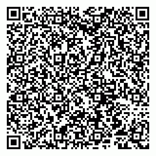 vCard 79807251329