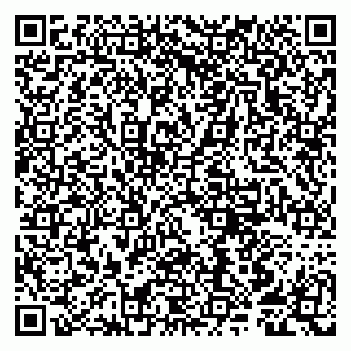 vCard 79807251330
