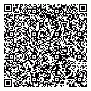 vCard 79807251331