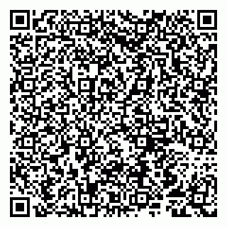 vCard 79807251332