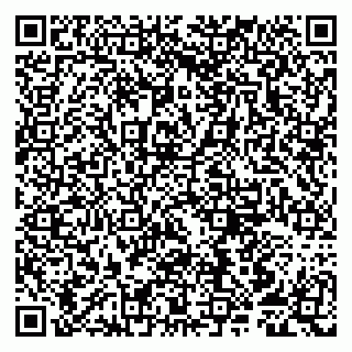 vCard 79807251333