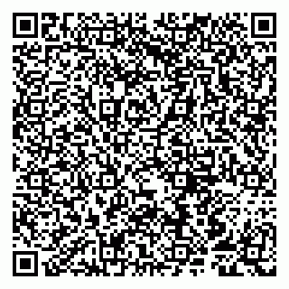 vCard 79807251343