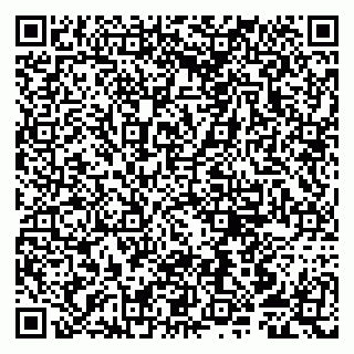 vCard 79807251381