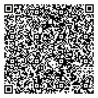 vCard 79807251383