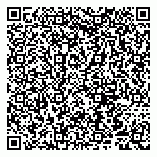 vCard 79807251384
