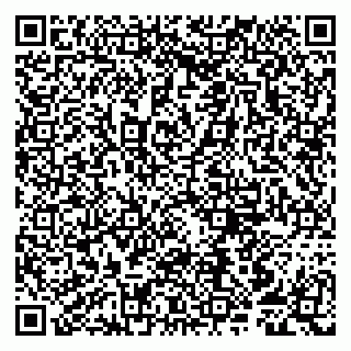 vCard 79807251387