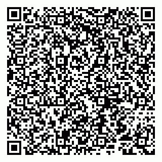 vCard 79807251393