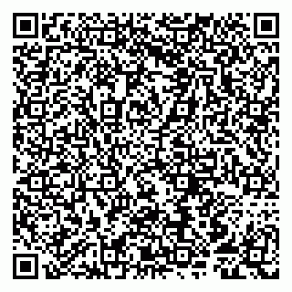 vCard 79807251411