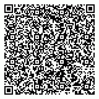 vCard 79807251739