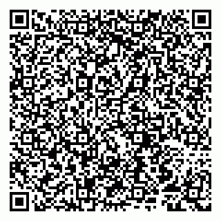 vCard 79807251933