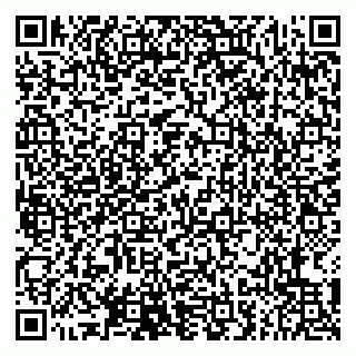 vCard 79807251935