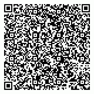 vCard 79807252031