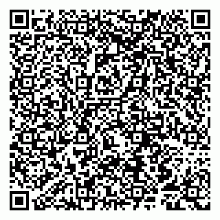 vCard 79807252033