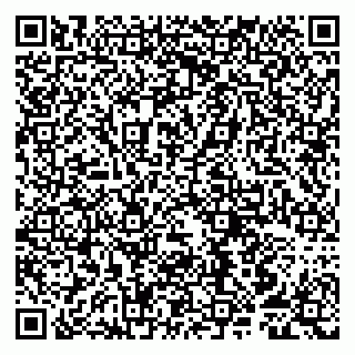 vCard 79807252038