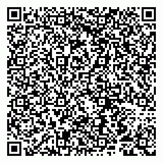 vCard 79807252067