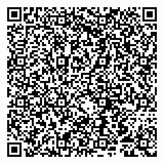 vCard 79807252095