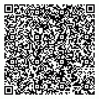 vCard 79807252096