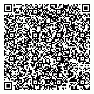 vCard 79807252133