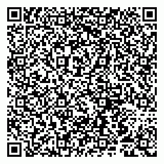 vCard 79807252337