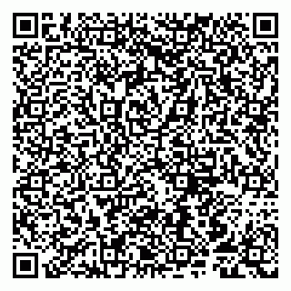 vCard 79807252352