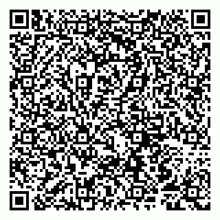 vCard 79807252379