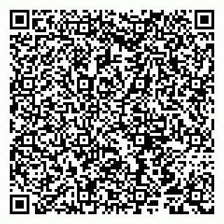 vCard 79807252382