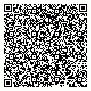 vCard 79807252385