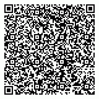 vCard 79807252387