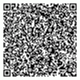 vCard 79807252409