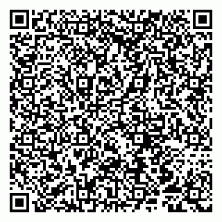vCard 79807252704