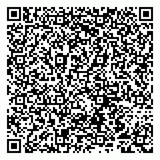 vCard 79807253204