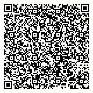 vCard 79807253209